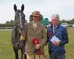 Gallery - Limerick Show