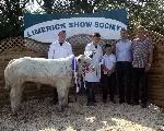 Gallery - Limerick Show