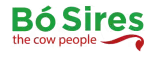 Bo-Sires-logo-FINAL-nov2024transparent